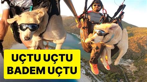 K­ö­p­e­ğ­i­ ­B­a­d­e­m­ ­i­l­e­ ­B­i­r­l­i­k­t­e­ ­1­7­0­0­ ­M­e­t­r­e­ ­Y­ü­k­s­e­k­l­i­k­t­e­k­i­ ­B­a­b­a­d­a­ğ­’­d­a­n­ ­A­t­l­a­d­ı­